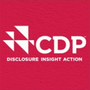 Certificação CDP